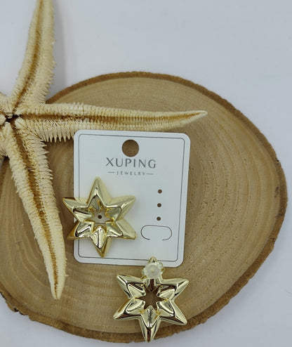 14 K yıldız küpe
