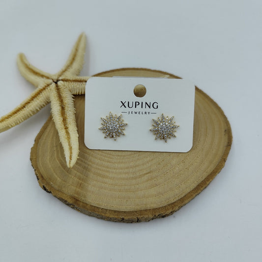 14 K Taş Detaylı Küpe